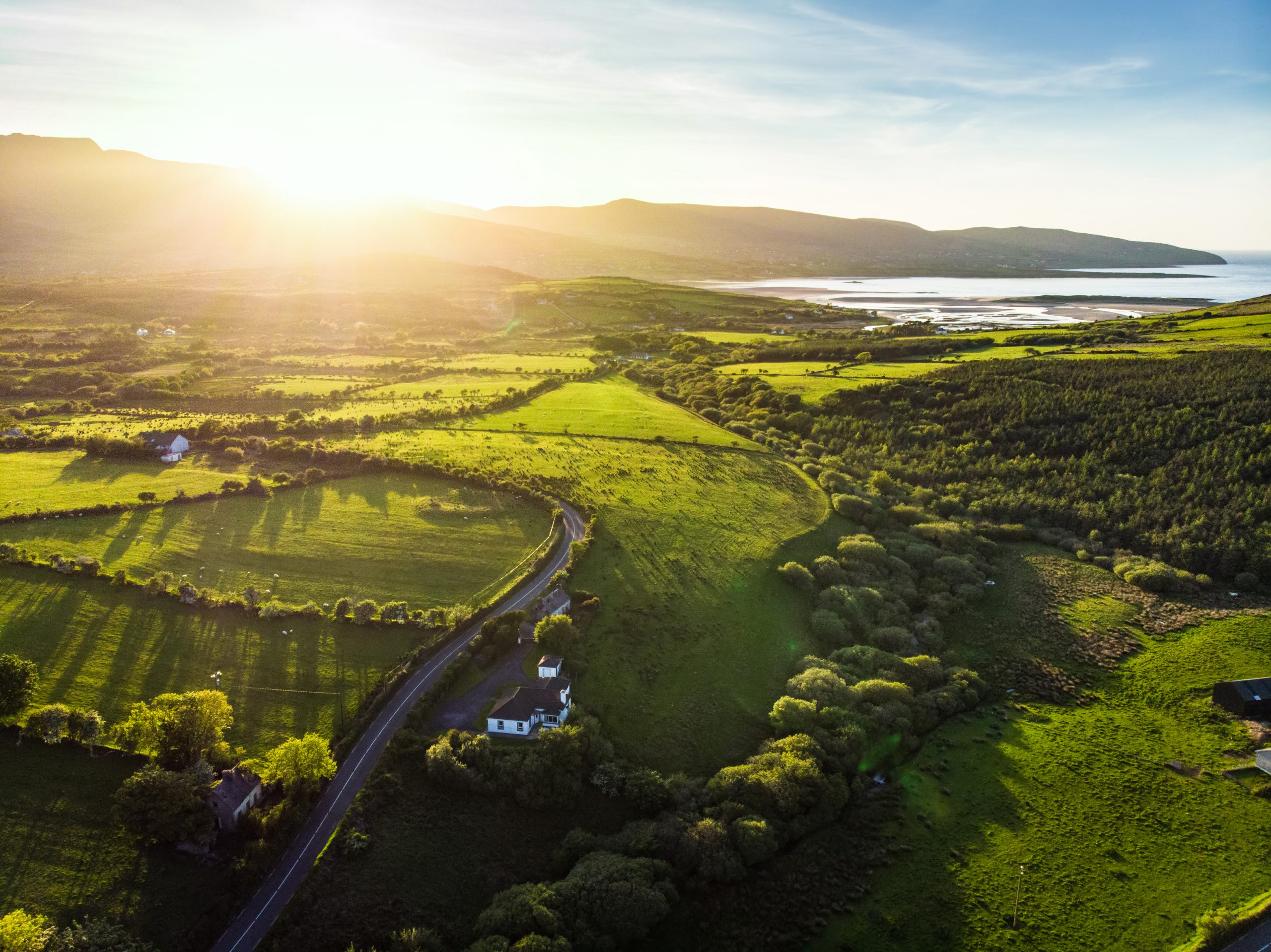 Sunny coastal landscape