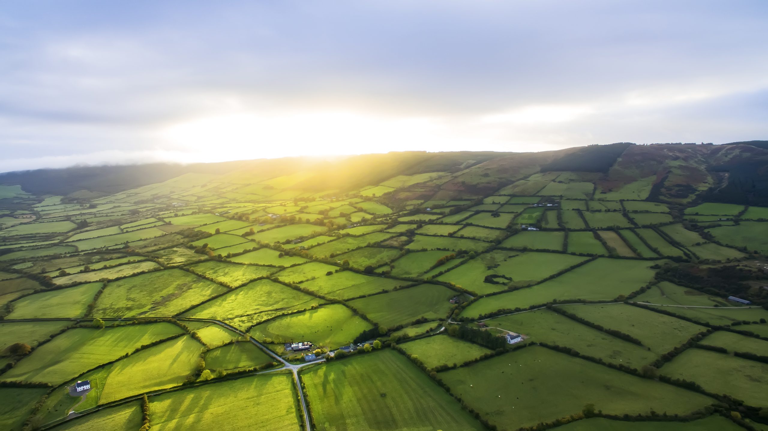 Irish rural scene