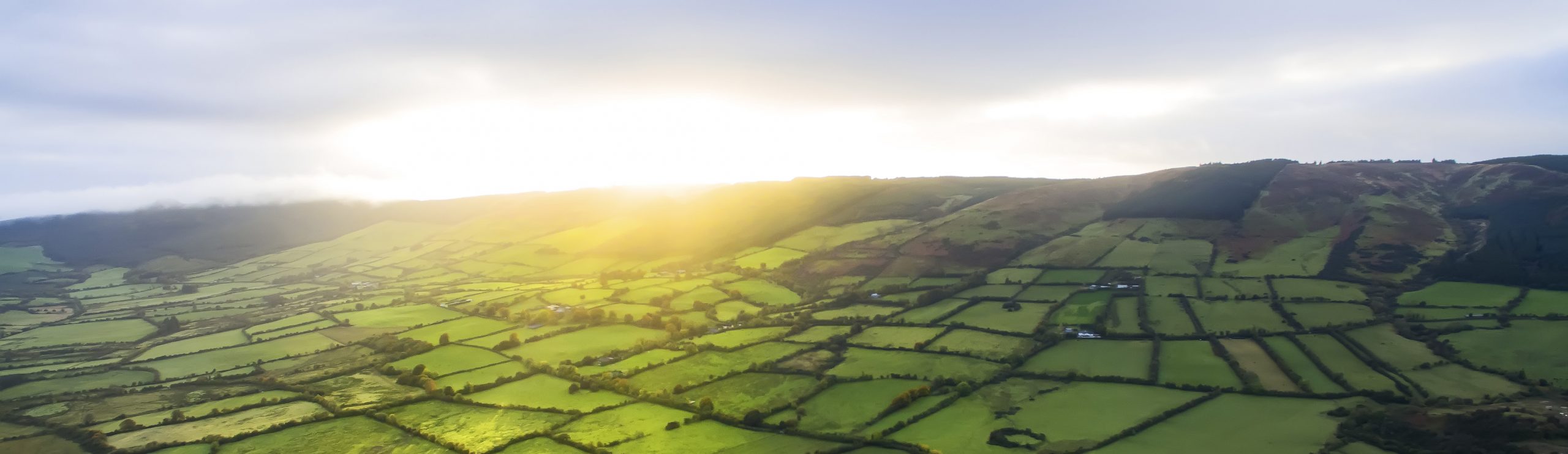 Irish rural scene