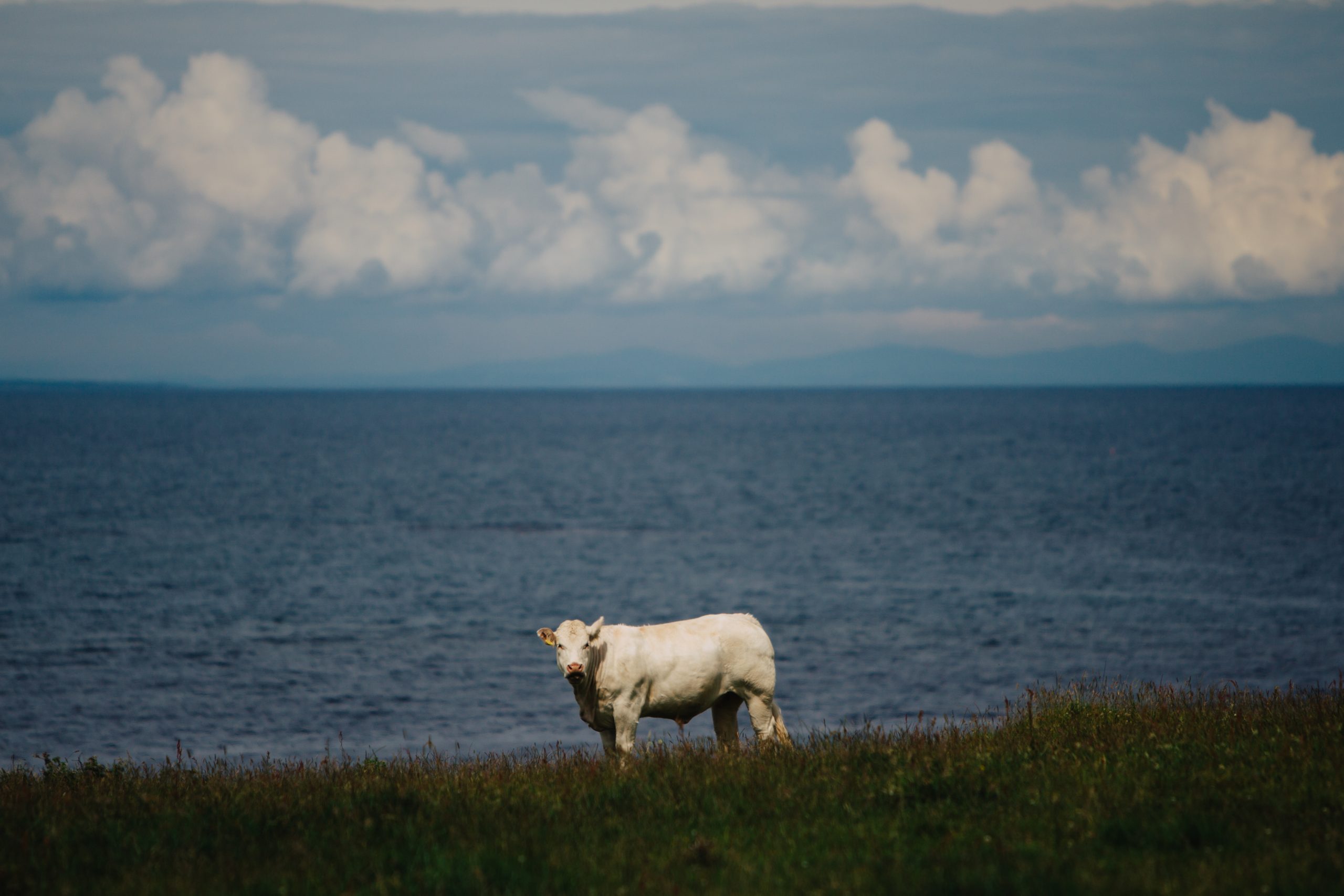 Iniscrone, County Sligo.