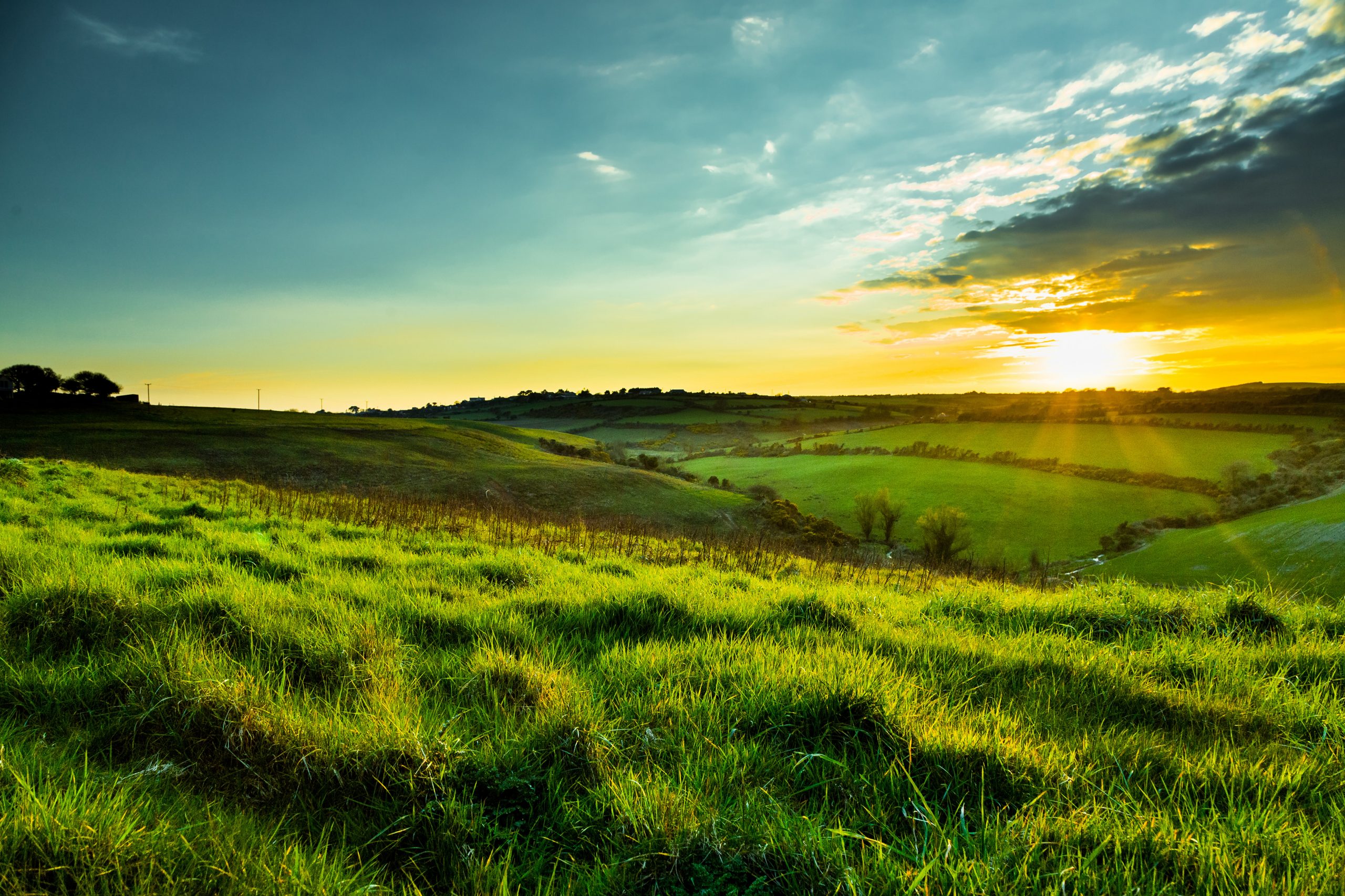 Irish Countryside