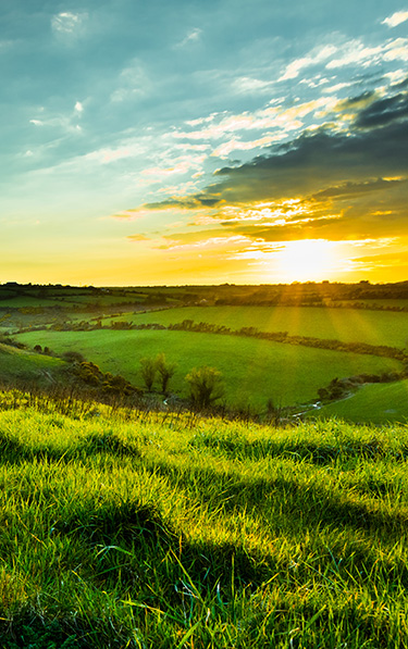 Irish Countryside